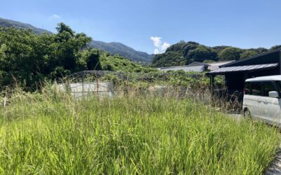 【土地探しの盲点】100点満点の土地に潜む「最後にして最大の罠」とは？