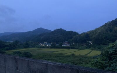 【土地探し】「海が見える家」を諦めた先に気づいた、本当に大切な「景色の条件」